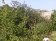 Satılır 8 sot torpaq Şağan