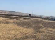 Satılır 100 sot torpaq Qobu