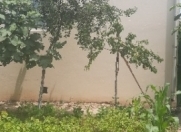 İcarəyə verilir 3 otaqlı 100 m2 həyət evi Buzovna