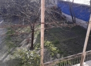 Satılır 3 otaqlı 92 m2 həyət evi Şəki