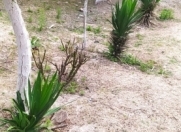 Satılır 4 otaqlı 90 m2 həyət evi Salyan