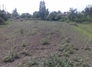 Satılır 21 sot torpaq Qusar