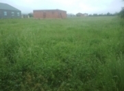 Satılır 23 sot torpaq Zaqatala