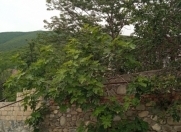 Satılır 4 otaqlı 93 m2 həyət evi Şəki