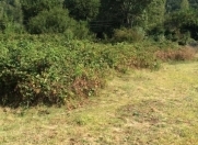 Satılır 10 sot torpaq Qəbələ