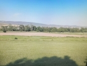 Satılır 5.5 sot torpaq Şamaxı