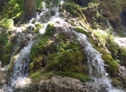 İcarəyə verilir 3 otaqlı 85 m2 həyət evi Qax