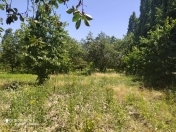 Satılır 40 sot torpaq Qusar