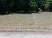 Satılır 6 sot torpaq Xaçmaz