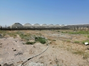 Satılır 10 sot torpaq Zirə