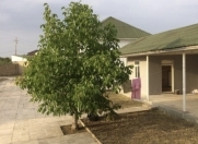 Satılır 7 otaqlı 190 m2 həyət evi Şamaxı