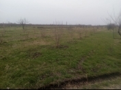 Satılır 10 sot torpaq Xaçmaz