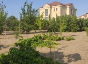 Satılır 10 sot torpaq Novxanı