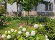 İcarəyə verilir 3 otaqlı 160 m2 həyət evi Bilgəh