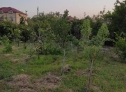 Satılır 11 sot torpaq Novxanı