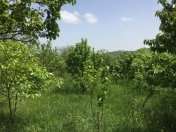 Satılır 3 otaqlı 62 m2 həyət evi Xızı