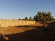 Satılır 10 sot torpaq Bilgəh