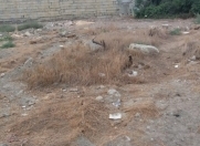 Satılır 200 sot torpaq 7 mkr