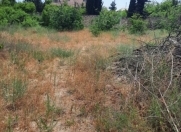 Satılır 1 otaqlı 3 m2 bağ evi Novxanı