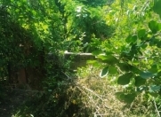 Satılır 0.7 sot torpaq Qusar