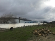 Satılır 250 sot torpaq Xocəsən