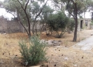 Satılır 4 sot torpaq Bilgəh