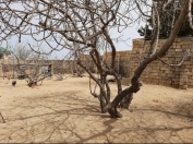 Satılır 6.7 sot torpaq Novxanı