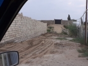 Satılır 13 sot torpaq Ləhic Bağları