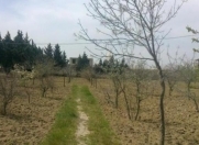 Satılır 100 sot torpaq Nardaran