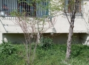 Satılır 2 otaqlı 55 m2 yeni tikili 8 km