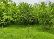 Satılır 19 sot torpaq Ağdaş