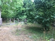 Satılır 10 sot torpaq Qəbələ