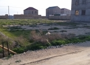 Satılır 3 sot torpaq Bahar