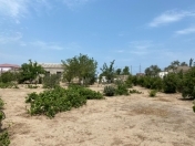 Satılır 25 sot torpaq Şüvəlan