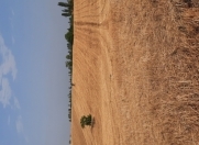 Satılır 108 sot torpaq Qusar