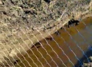 Satılır 3000 sot torpaq Cəlilabad