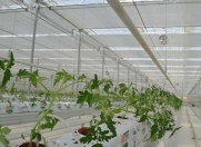 Satılır 3 otaqlı 250 m2 yeni tikili Absheron Marriott otel