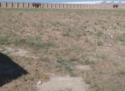 Satılır 50 sot torpaq Zirə