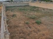 Satılır 12 sot torpaq Neftçala