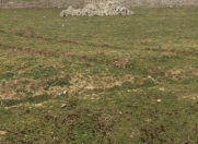 Satılır 12 sot torpaq Sabunçu r.