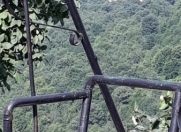 İcarəyə verilir 3 otaqlı 100 m2 həyət evi Lerik