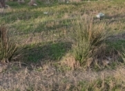 Satılır 12 sot torpaq Sumqayıt