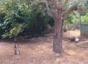 Satılır 4 otaqlı 5 m2 həyət evi Mərdəkan