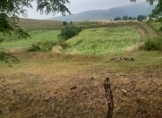 Satılır 20 sot torpaq Gədəbəy