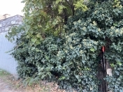 Satılır 1.5 sot torpaq Əhmədli