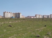 Satılır 100 sot torpaq Məhəmmədli