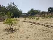 Satılır 10 sot torpaq Novxanı