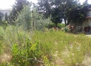 Satılır 31 sot torpaq Bilgəh