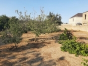 Satılır 8 sot torpaq Aviasiya Akademiyası Universiteti