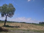 Satılır 100 sot torpaq Xaçmaz